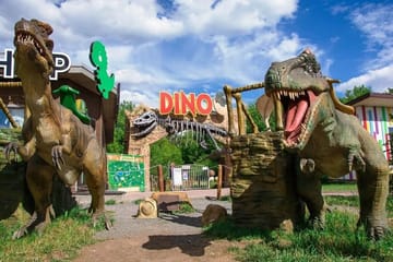Goynuk Canyon and Dinopark Tour with Lunch Transfer From Antalya