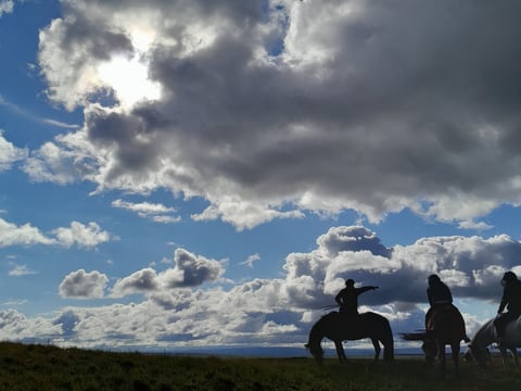 1 hour Riding tour Lake Myvatn area