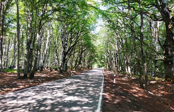 Explore Gudauri: Easy Tour from Tbilisi