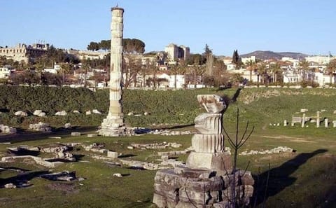 Ephesus Small Group Cultural Tour from İzmir