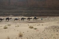 Camel Trek Morocco 8 Days 6