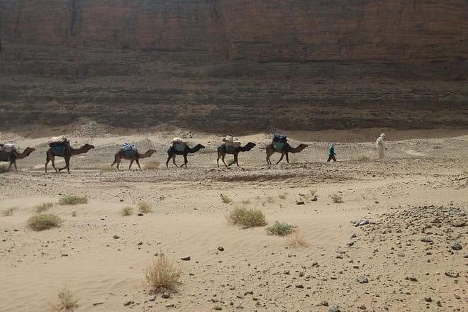 Camel Trek Morocco 8 Days photo 6