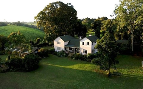 DAY TOUR TO KIAMBETHU TEA FARM IN LIMURU