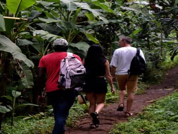 From Arusha: Materuni Village and Waterfall Day Tour