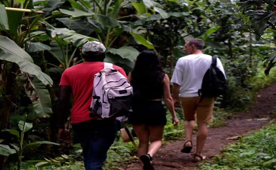 From Arusha: Materuni Village and Waterfall Day Tour