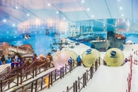 Ski Dubai Snow - Plus tour & Desert Safari with BBQ Dinner 9