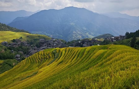Longji Dazhai Rice Terraces Day Tour with Cable Car Ride