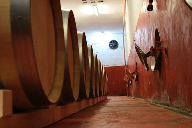 Visita la cantina Roveri e degusta i suoi vini photo 2