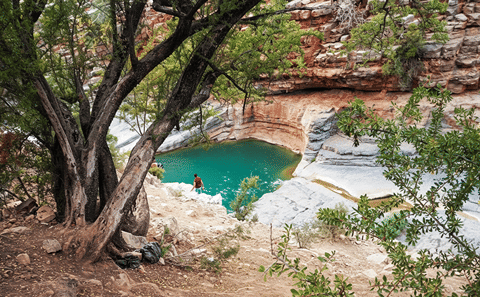 Half-Day Paradise Valley Tour in Agadir, Morocco