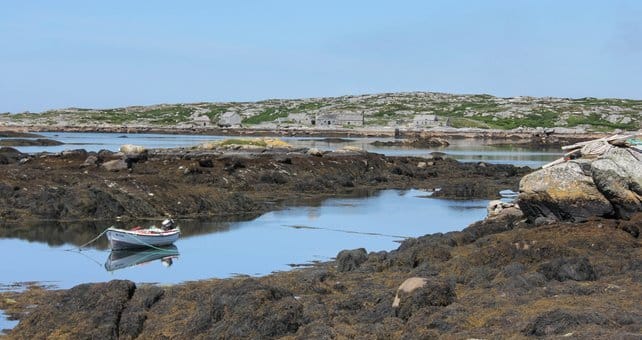 Motorboat trip to visit Connemara island. Private guided.  photo 5