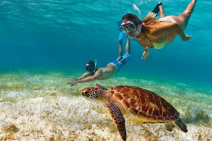 Snorkeling and Tubing in Montego Bay with Transportation