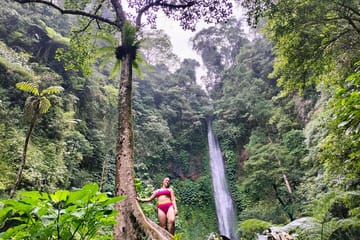 Full-Day Waterfall Tour in Sambangan, Singaraja, Bali