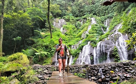 Full-Day Waterfall Tour in Sambangan, Singaraja, Bali