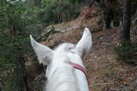 Private Cascades Waterfall Horseback Riding Tour from Smolyan 2