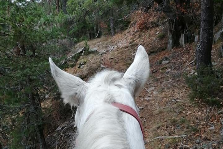 Private Cascades Waterfall Horseback Riding Tour from Smolyan 2