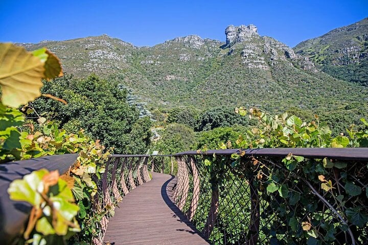 Bella Private Tours: Private Table Mountain, Kirstenbosch & Constantia Wine Day — Constantia - Photo 6