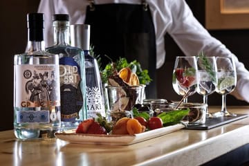 Gin tasting experience in Athens