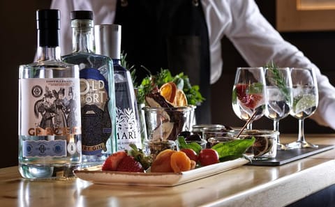 Gin Tasting Experience in Athens with Local Varieties