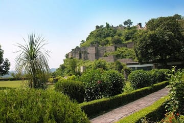 Explore the North Indian Himalayas: Shimla to Manali Tour