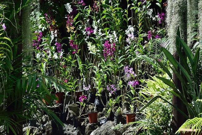 Gardens of Sleeping Giants