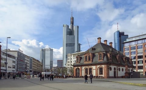 Private Guided Tour of Frankfurt's Historic Landmarks