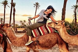 2 Hour Camel Ride in Marrakech 