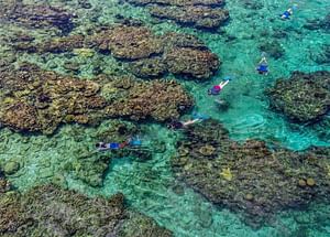 Roatan Snorkeling and Private Cay Beach Escape Tour