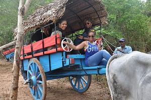 Sigiriya Rock and Village Tour from Negombo