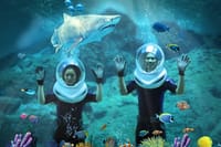 SEA LIFE & Madame Tussauds: Ultimate Bangkok Combo Ticket 4