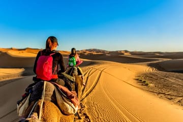 2-Day Camel Trek and Desert Camp Experience in Zagora