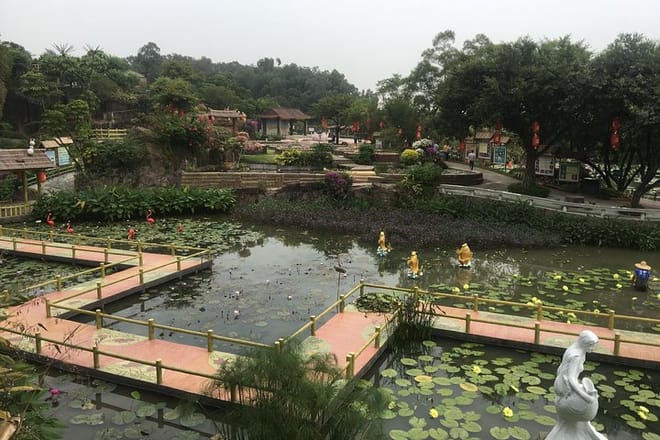 Lotus Hill