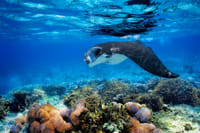 One day Komodo speed boat tour from Bali 4