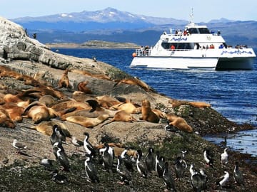 Sea Lions' Island