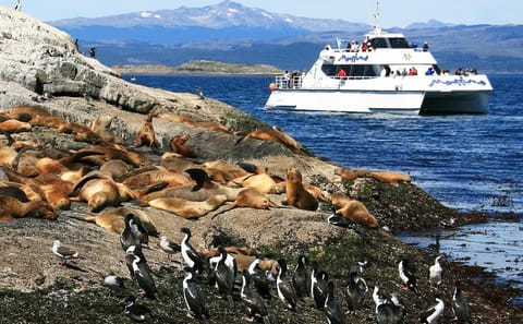 4-Day Air Tour to Ushuaia with National Park and Beagle Channel