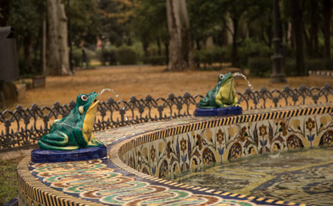 Gardens of Seville. Water and Landscape since the 12th Century