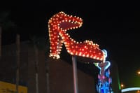 2-hour Downtown Walking Tour with Professional Photographer