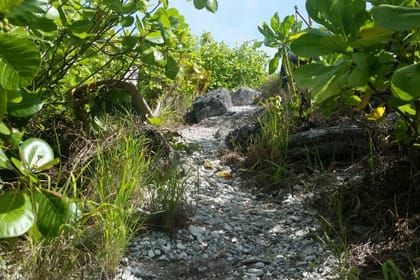 Fuvahmulah Island: Guided 3-Hour Orientation Tour