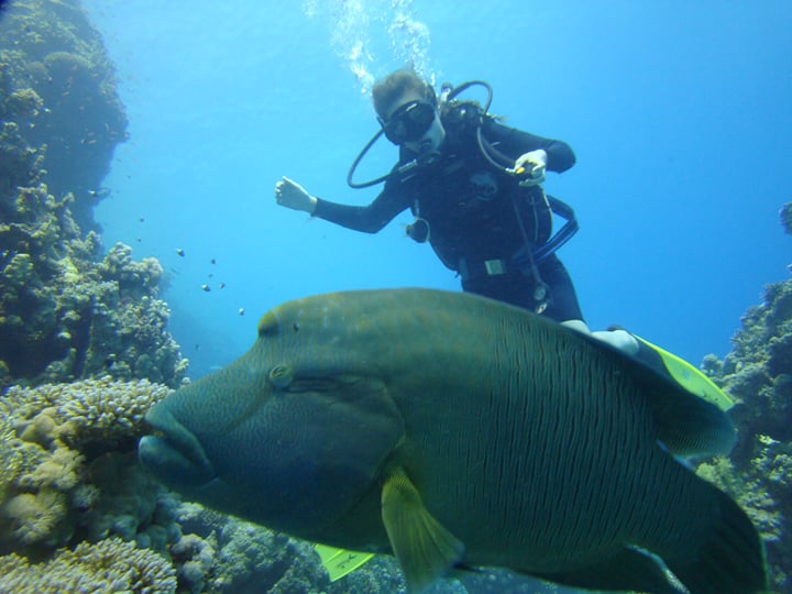 Dive & Discover: 2 shore dives