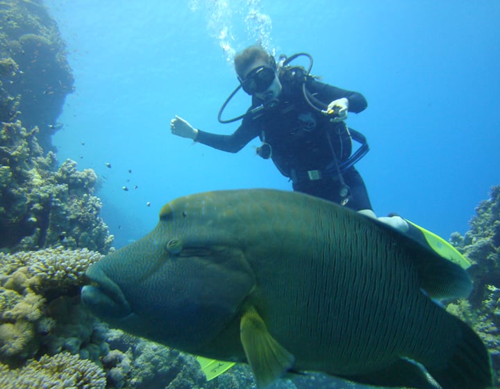 Dive & Discover: 2 shore dives