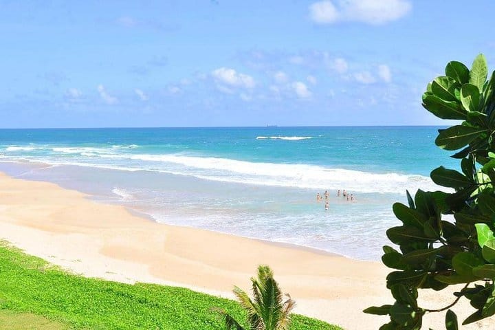 Chauffer Driven Standard Van