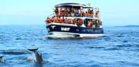 Mirissa Whale Watching Tour 6