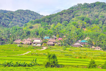 Mai Chau – Pu Luong trekking 3 days 2 nights