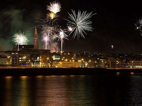 New Years Fireworks by Boat from Reykjavik, photo 2