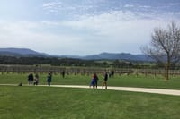 Scenic Private Yarra Valley Wine Tour  6