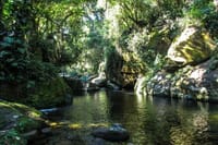 4-Day Private Guided Tour from Santos to Rio de Janeiro – Coastal Trip 8