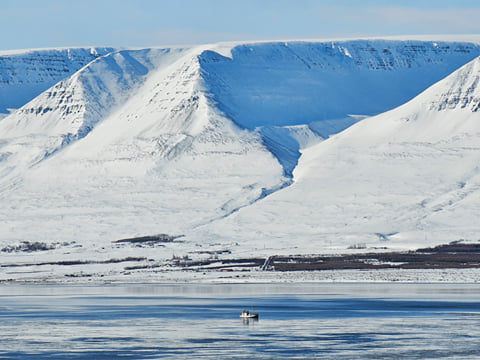 Private Adventure! Arctic Odyssey: Huskies and the Aurora Borealis!, photo 11