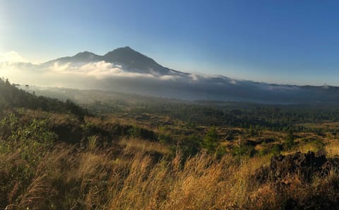 Private 3-Day Bali Adventure Tour with Cultural Highlights