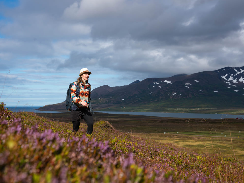 4-6 Hour Hiking Tour — Sóti Summits