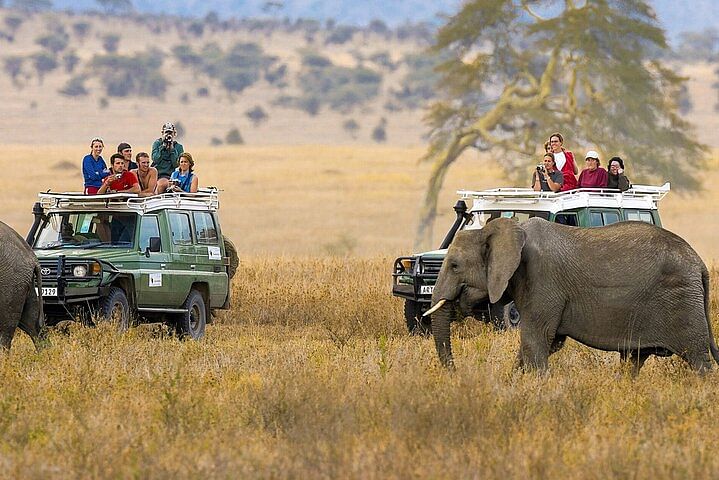 Nairobi, Amboseli & Tsavo National Parks Wildlife Adventure Safari