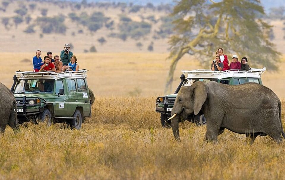 5 Days Nairobi Amboseli Tsavo West and Tsavo East National Park